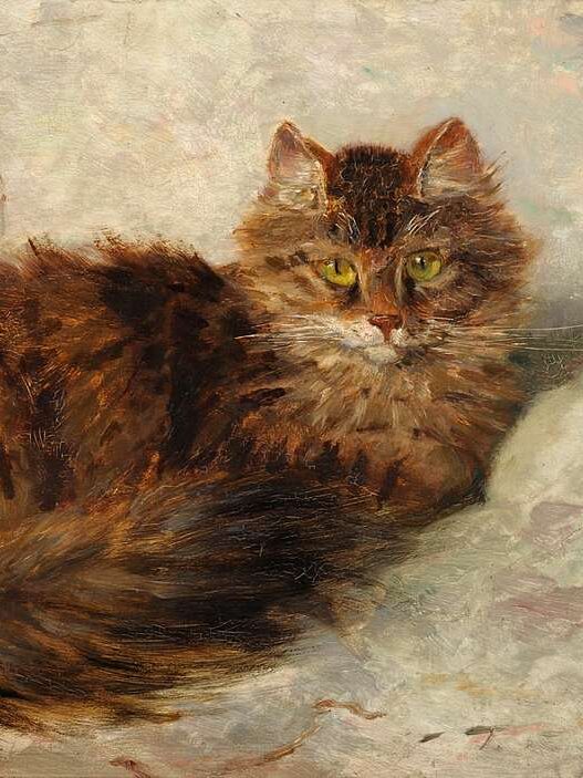 Pintura de gato